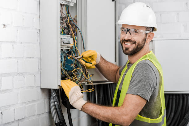 Best Generator Installation Services  in Wakarusa, IN